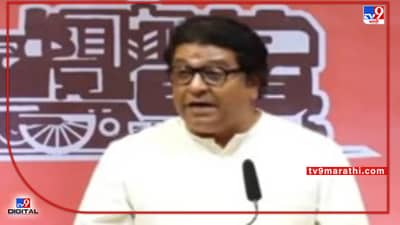 Raj Thackeray : अयोध्येला जाऊन राज ठाकरे नेमकं काय करणार होते? नेमका प्लॅन सांगितला