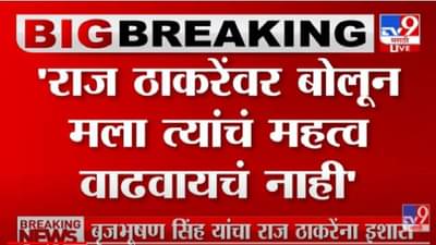 Sharad Pawar: मला त्यांचे महत्त्व वाढवायचे नाही,  या एका वाक्यात शरद पवार यांनी राज ठाकरे यांचा विषय निकाली