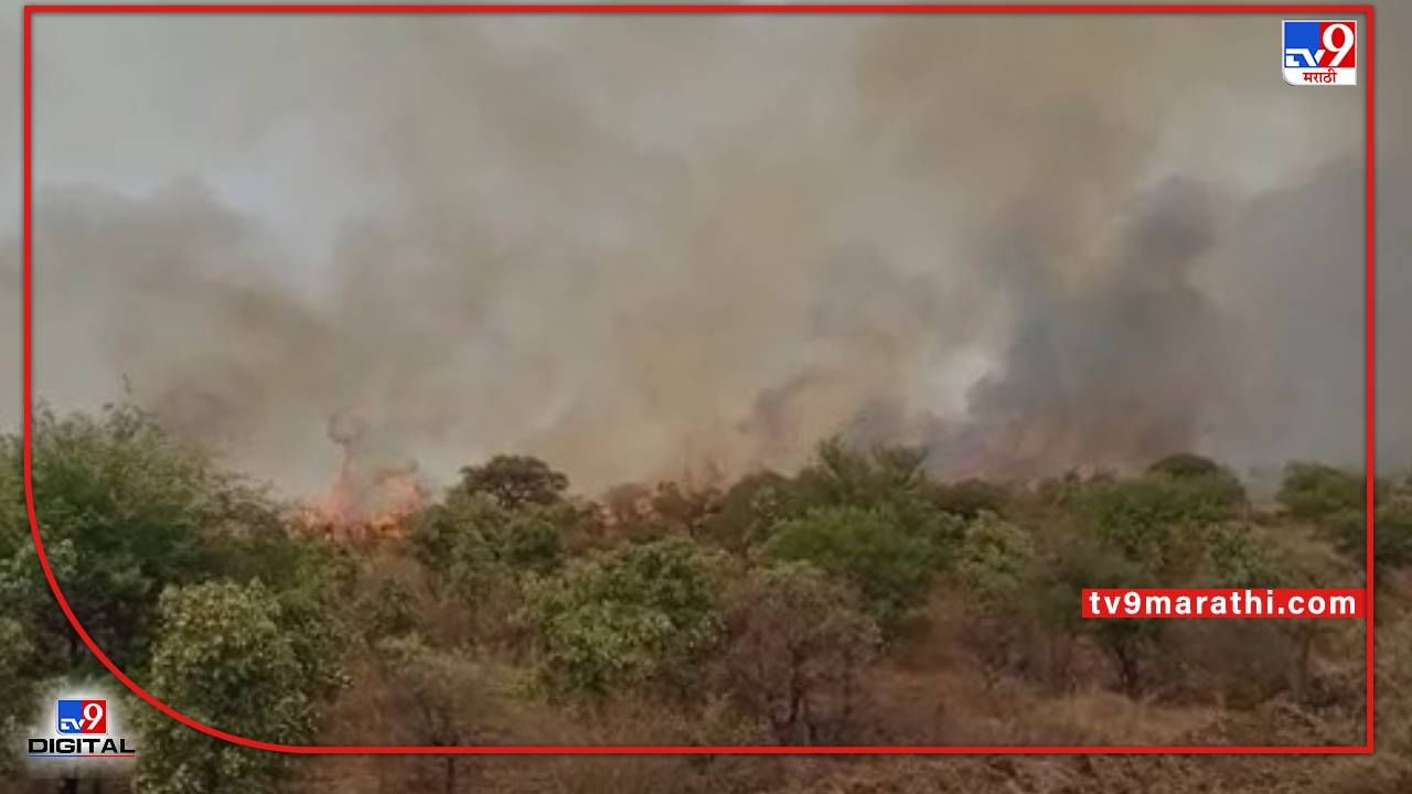 Video : Nagpur Fire | नागपुरातील गोरेवाडा जंगलाला आग; तीन गाड्यांच्या मदतीनं आग नियंत्रणात
