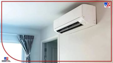 Air Conditioner : उन्हाच्या असह्य झळा, महाराष्ट्रातील ‘या’ शहरात सर्वाधिक AC खरेदी; तिपटीनं विक्री