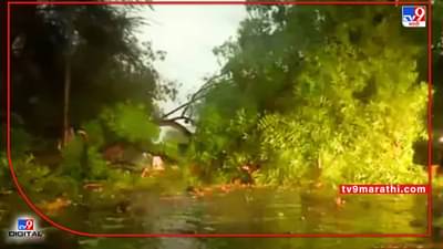 Delhi Weather: दिल्लीत वादळी वाऱ्यासह जोरदार पाऊस, वृक्ष उन्मळून पडले; विमानसेवा विस्कळीत