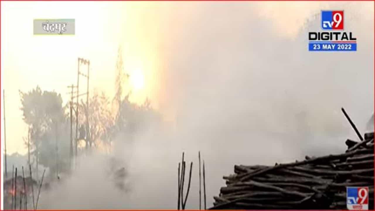 चंद्रपूरमध्ये पेपर मिल लाकूड आगाराला भीषण आग