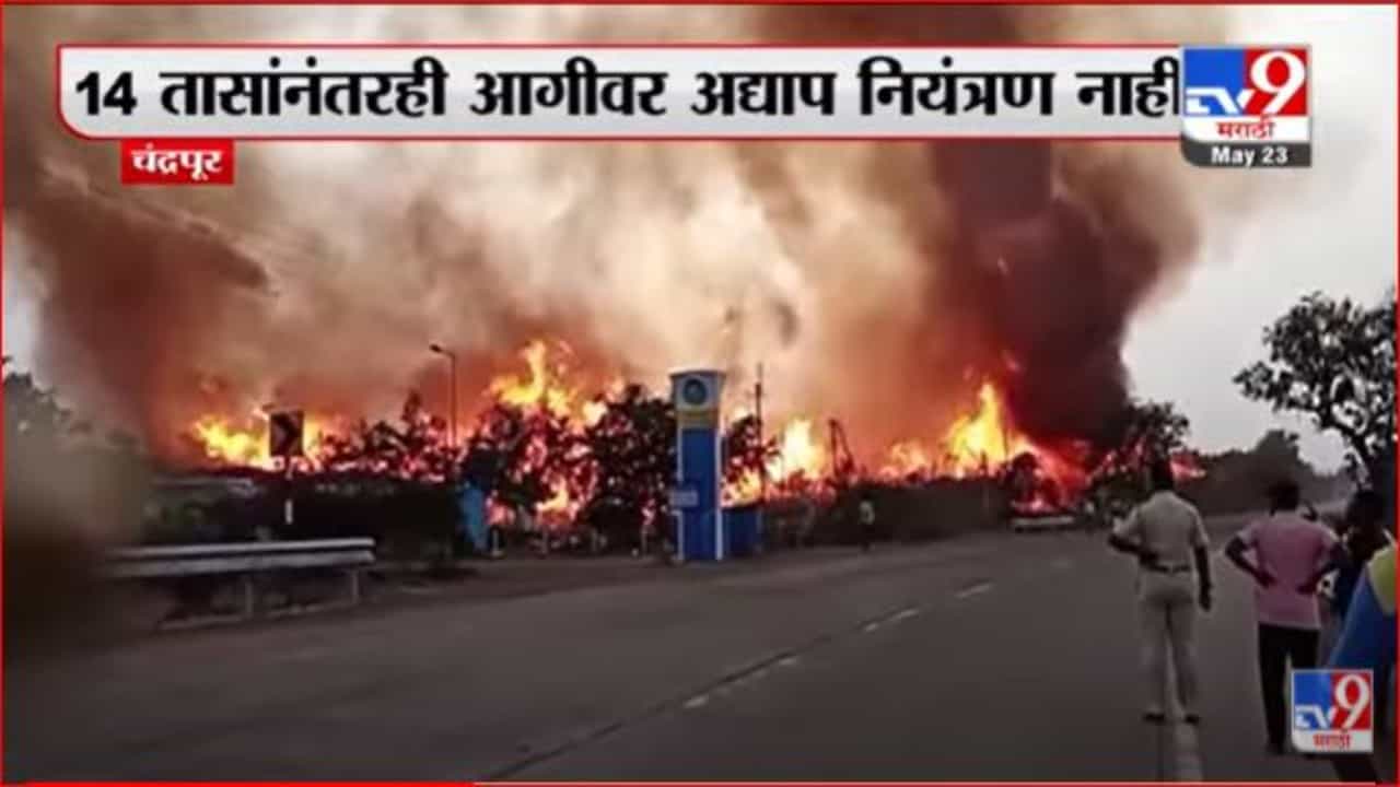 चंद्रपूरमध्ये पेपर मिल लाकूड आगाराला भीषण आग; आगीत पन्नास कोटींचे नुकसान, 20 एकरावरील डेपो जळून खाक