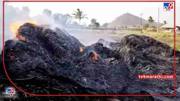 Nashik : दुष्काळात तेरावा, आगीच्या दुर्घटनेत जनावरांचा चारा जळून खाक, कांद्यालाही झळ