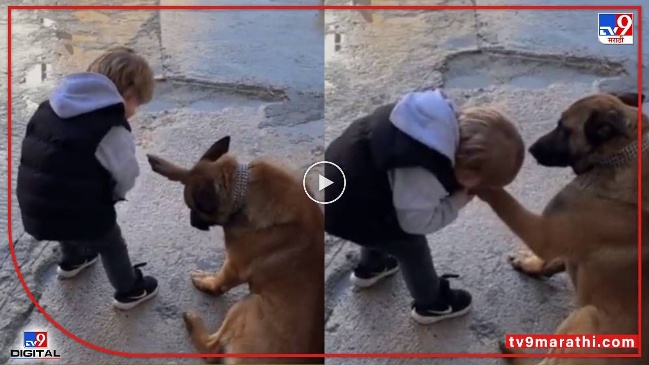 Video : सच्ची यारी! लहानग्याने केलं कुत्र्याच्या पंजावर किस, क्युटेस्ट व्हीडिओ सोशल मीडियावर व्हायरल...