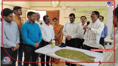 Kharif : हिवरे बाजार शिवारात खरिपाची उत्पादकता वाढणार, पेरणीपूर्वीच्या उपक्रमाने गाव उद्दिष्ट साधणार?