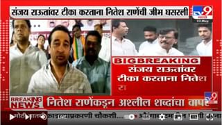 Nitesh Rane on Anand Dighe | दिघे साहेबांना असं ठाणे अपेक्षित होतं का?