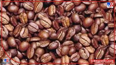 Puzzle :  या कॉफी बीन्सच्या फोटोत माणसाचा चेहरा शोधा, फक्त हुशार लोकच हा शोध घेऊ शकतात...