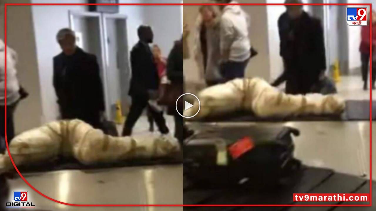 Video : कन्व्हेयर बेल्ट पेपरमध्ये गुंडाळलेला मृतदेह?, एअरपोर्टवरचा व्हीडिओ व्हायरल
