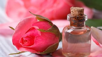 Rose oil : गुलाब तेलाचा वापर करा; वृद्धत्वाला दूर ठेवा