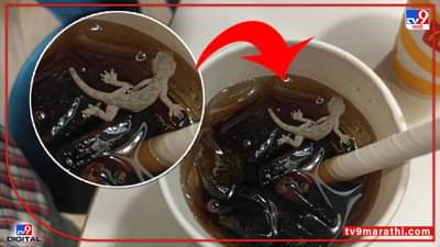Video : ईsss McDonald’s मधून मागवलेल्या कोल्ड ड्रिंकमध्ये निघाली पाल, किळसवाना व्हीडिओ व्हायरल...