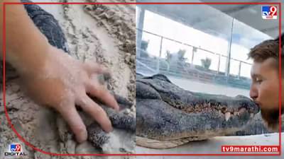 Video : हातामध्ये घेऊनी हात, तरूणाचा मगरीसोबत रोमान्स!, व्हीडिओ सोशल मीडियावर व्हायरल