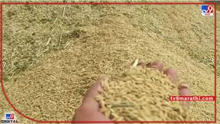 Kharif Season : तयारी पूर्ण आता पावसाची प्रतिक्षा, बी-बियाणे खरेदीसाठी शेतकऱ्यांची लगबग