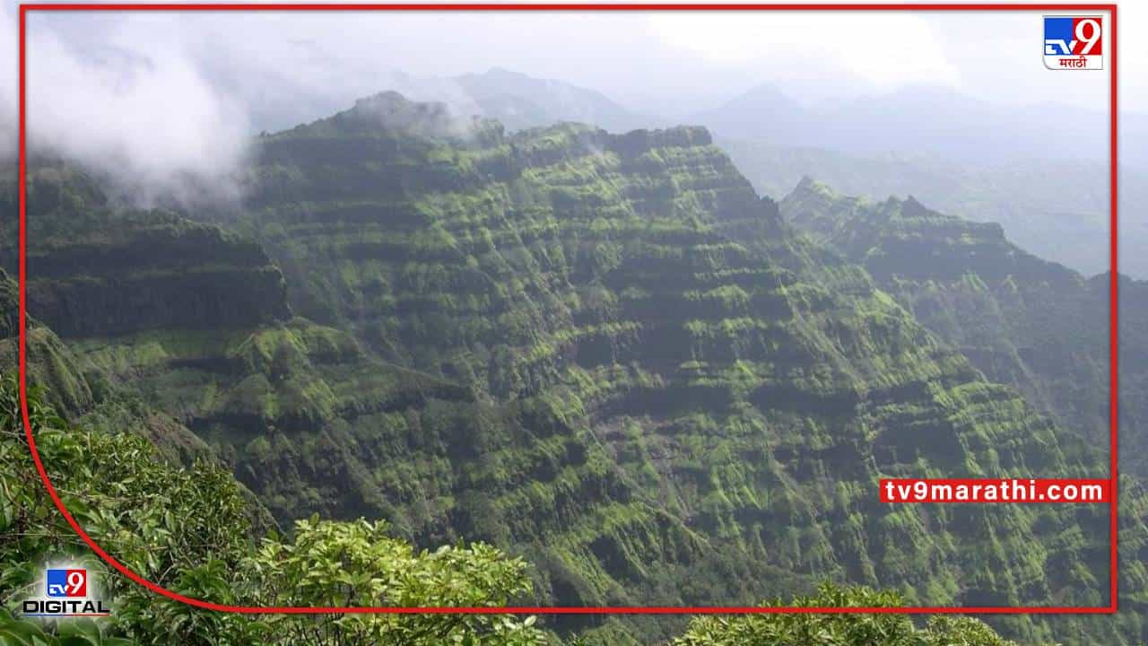 Monsoon | मान्सून तो आरेला है बॉस... पण राज्यात सर्वाधिक पाऊस कुठे होतोय माहितीय का?