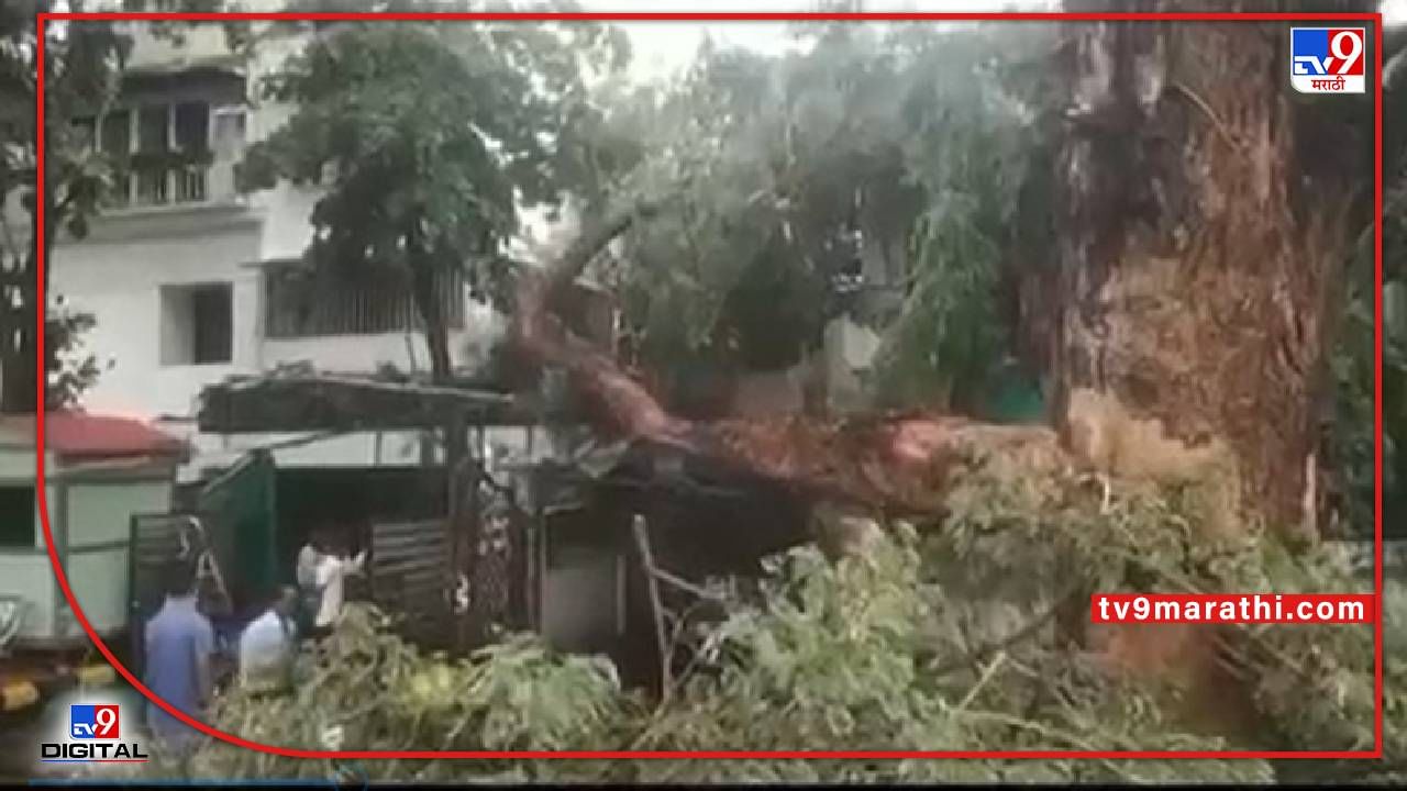 Nagpur : नागपूरात दोन मंत्र्यांच्या बंगल्यावरती कोसळलं झाडं, सुदैवाने जीवित हानी नाही