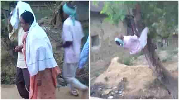 Video viral : बेभान होऊन डान्स करतो अन् फांदीसह जमिनीवर कोसळतो, पुढे काय होतं? पाहा...