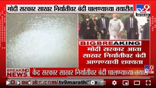 Nagpur : विदर्भात वादळी पावसाची हजेरी, अनिल देशमुखांच्या बंगल्यावर झाड कोसळलं