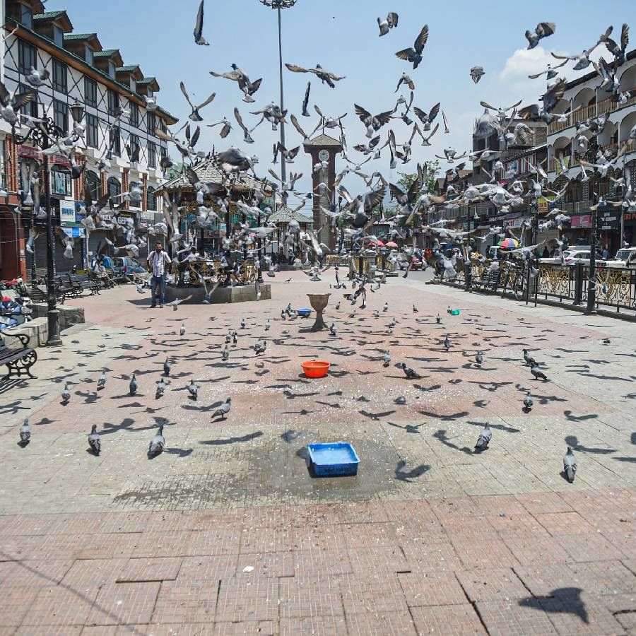 ही दृश्य आहेत श्रीनगरच्या फेमस लाल चौकातली. नेहमी प्रमाणे कबूतरं उडतायत. सामसुम रस्त्यावर कबूतरांची फडफड बोलकी आहे.