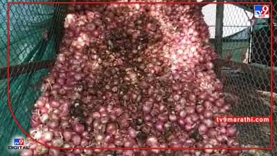 Nashik : कष्टाने पिकविलेल्या कांद्यावर वैऱ्याची नजर, युरिया मिश्रीत पाणी टाकल्याने कांदा नासला