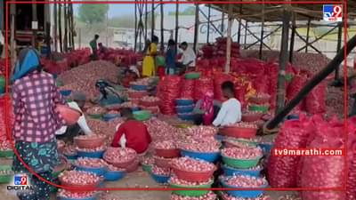 Onion Rate : वाह रे बहाद्दर..! कांदा पाहून व्यापाऱ्यांनी नाके मुरडली, शेतकऱ्यांनी अशी काय शक्कल लढवली की कांद्याचा वांदाच मिटला