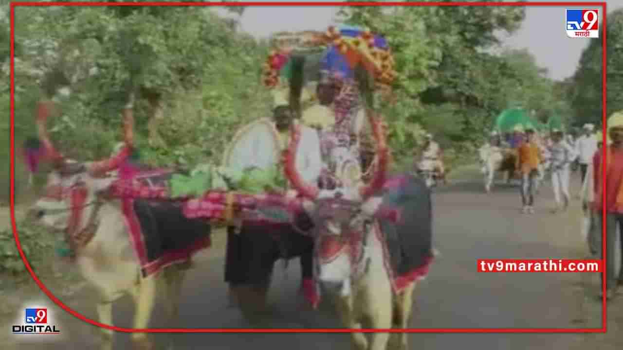 Video : Gondia | पेट्रोल शंभरीपार, कशी आणणार कार? मग काय 25 बैलगाड्यातूनच नवरोबांनी गाठलं नवरीचं दार!