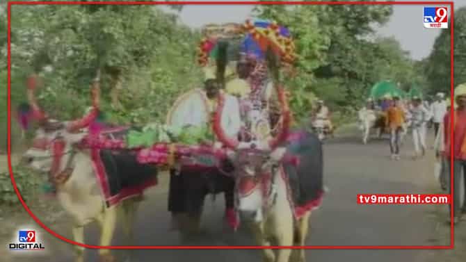 Video : Gondia | पेट्रोल शंभरीपार, कशी आणणार कार? मग काय 25 बैलगाड्यातूनच नवरोबांनी गाठलं नवरीचं दार!
