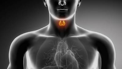 Health | थायरॉईडची समस्या दूर करण्यासाठी या आयुर्वेदिक गोष्टींचा आहारात समावेश करा!