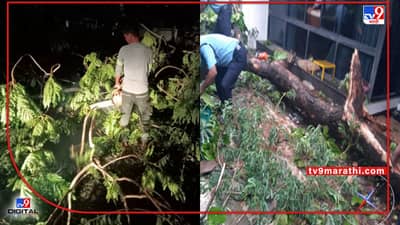 Nagpur Rainstorm | नागपुरात उन्ह पावसाचा खेळ; वादळ वाऱ्याचा फटका, 70 पेक्षा जास्त झाडं पडली