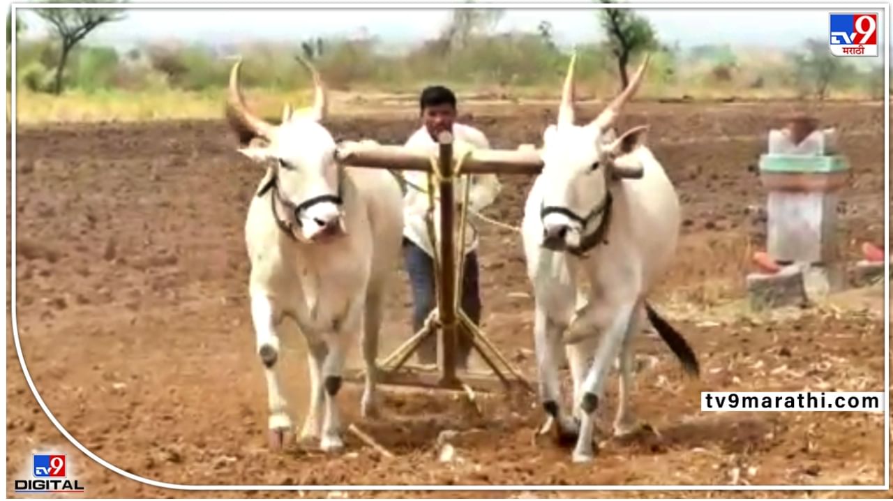 Pune Farmers : मॉन्सून हाकेच्या अंतरावर मात्र खतांसह डिझेल आणि यंत्रसामग्रीच्या किंमतीमुळे शेतकऱ्याचं कोलमडलं आर्थिक गणित