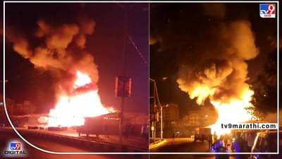 Video: विरारच्या मनवेल पाडामध्ये भीषण अग्नितांडव! आगीत फर्निचरची 8 ते 10 दुकानं जळून खाक