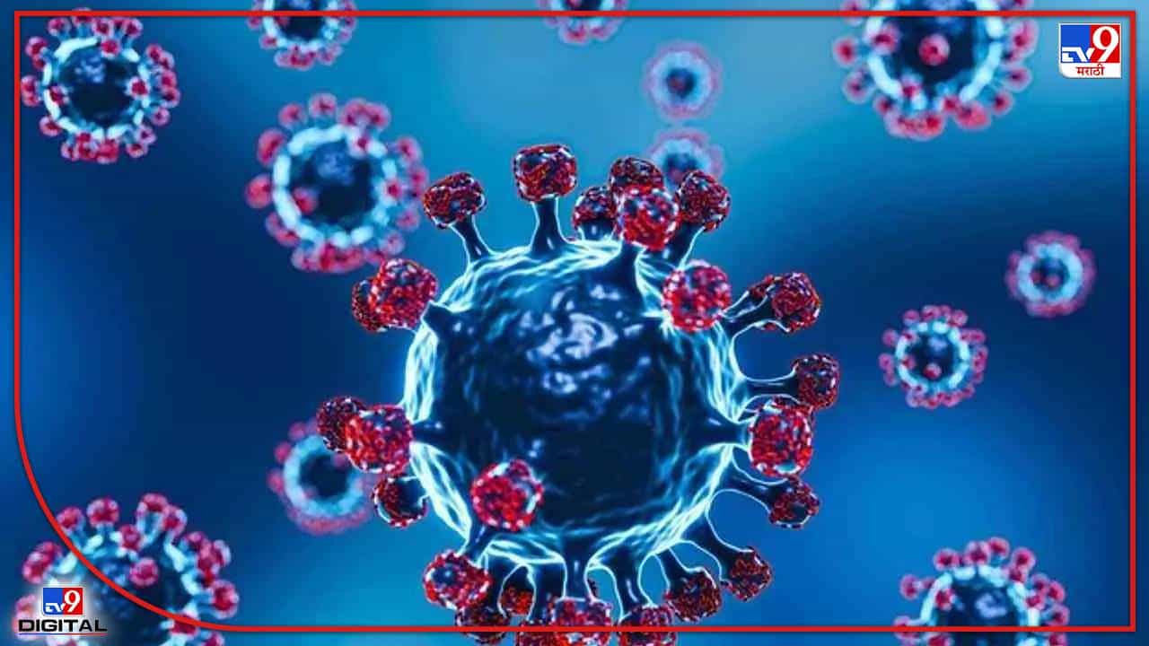 Corona Alert : कोरोनाच्या नव्या व्हेरिएंटची महाराष्ट्रात धडक ! पुण्यात आढळले 7 रुग्ण