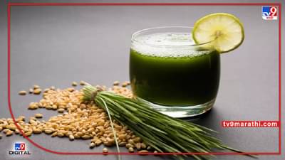 रक्तातील साखरेची पातळी नियंत्रित करण्यापासून ते वजन कमी करण्यापर्यंत.. जाणून घ्या, wheatgrass चे आश्चर्यकारक फायदे!
