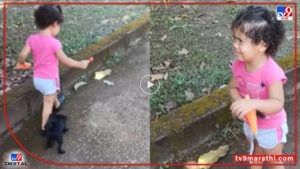 Video : मित्र बनला चोरटा! कुत्रा आणि चिमुकलीचा दोस्तीतल्या कुस्तीचा व्हीडिओ व्हायरल... 