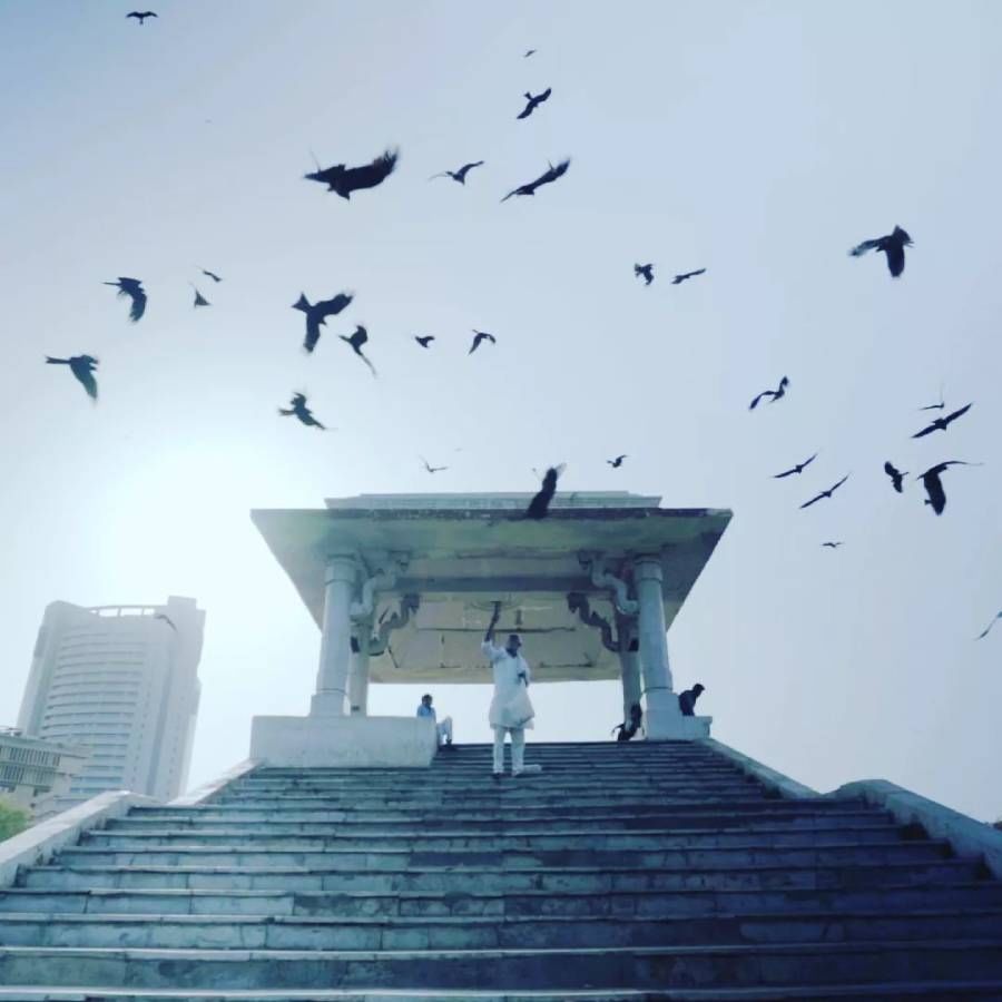  या माहितीपटात दिल्लीतील वजिराबाद या गावात पक्ष्यांना, विशेषतः गरुडांना वाचवण्याचे  व त्यांच्यावर  उपचार करतो. 90 मिनिटांच्या या चित्रपटाला ज्युरींनी विजेते म्हणून घोषित केले आहे . या पुरस्काराची  रक्कम  पाच हजार युरो आहे. 
