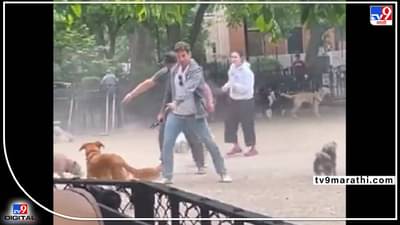 Viral: बाताओ कितने कुत्ते थे? बहुत! और चुहा? सिर्फ एक, सिर्फ एक! मरता मरता वाचला ना उंदीर...