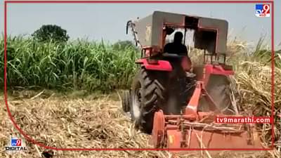 Jalna : ऊस पिकावरही रोटावेटर, अतिरिक्त ऊस असलेल्या जालन्यात शेतकऱ्याचा टोकाचा निर्णय