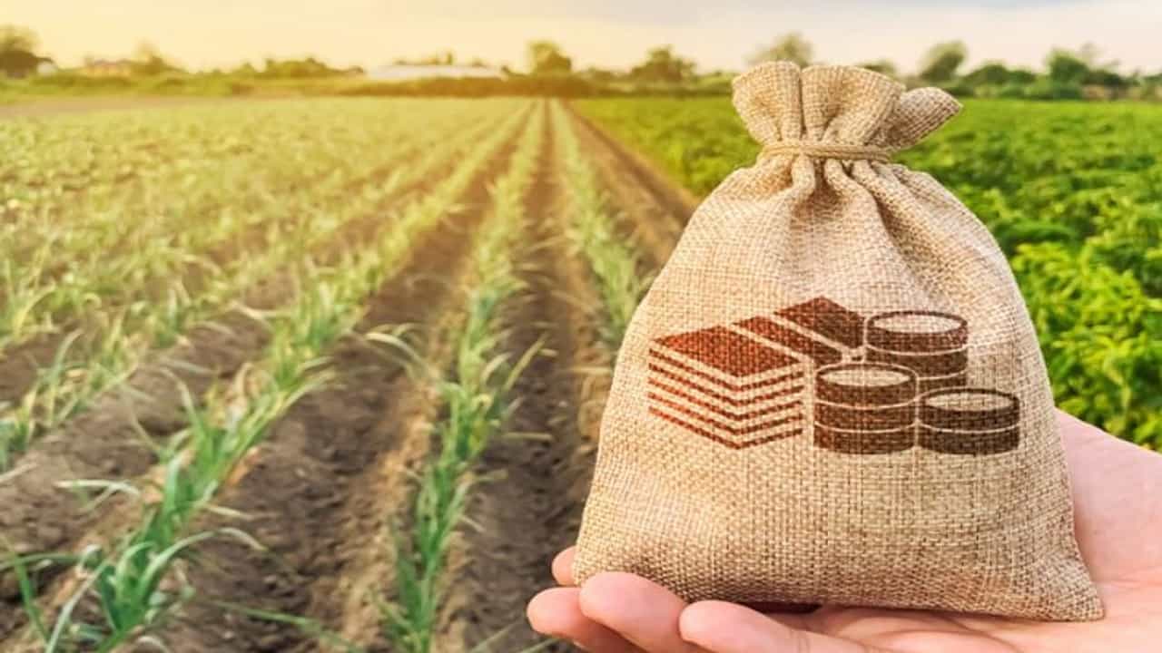 Crop Loan : केंद्राच्या धोरणामुळे पीक कर्ज वाटपाचा टक्का घसरला, पडद्यामागचे सत्य काय ?