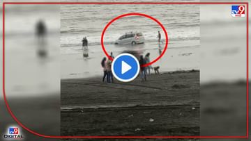 Video: समुद्रकिनाऱ्यावरुन कार पळवताना ओली वाळू सरकली! मारुती सुझुकीची अर्टीगा अर्नाळा समुद्रात अडकली