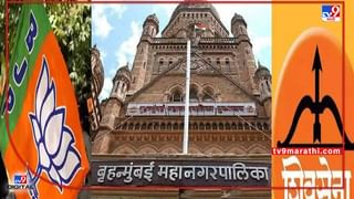 Chandrapur : वाघाच्या हल्ल्यात शेतकऱ्याचा मृत्यू, चंद्रपूरात हृदय पिटाळून टाकणारी घटना