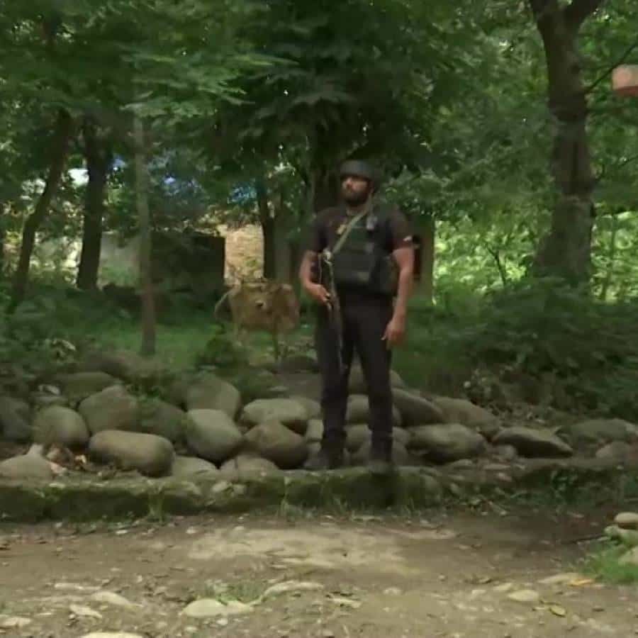 जम्मू-काश्मीरमध्ये पुन्हा एकदा सर्वसामान्य नागरिक दहशतवाद्यांच्या गोळ्यांचा बळी ठरत असल्याचे समोर आले आहे.आज सांबा जिल्ह्यातील कुलगाममध्ये दहशतवाद्यांनी एका शाळेतील शिक्षिकेला गोळ्या घातल्याचे समोर आहे. काही दिवसांपूर्वी राहुल पंडित नावाच्या शिक्षकाला गोळ्या घालून त ठार मारण्यात आले होते.