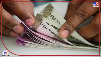 Central Government Employee : केंद्रीय कर्मचाऱ्यांसाठी खूशखबर, महागाई भत्त्यात 3 टक्क्यांची वाढ; पगार किती वाढणार?