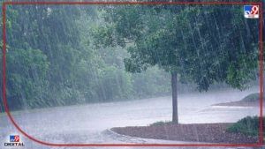 Monsoon:  वाशिम जिल्ह्यात बरसल्या पावसाच्या हलक्या सरी
