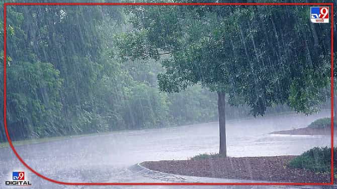 Monsoon: वाशिम जिल्ह्यात बरसल्या पावसाच्या हलक्या सरी