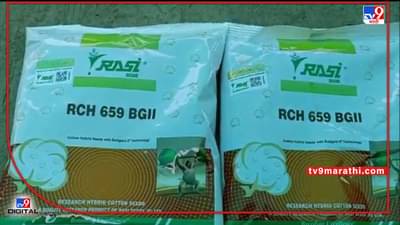 Kharif Season : कपाशी बियाणे खरेदीचा श्रीगणेशा, पावसानेही टायमिंग साधले