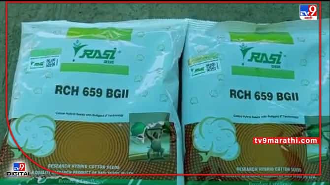 Kharif Season : कपाशी बियाणे खरेदीचा श्रीगणेशा, पावसानेही टायमिंग साधले
