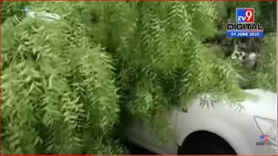 बार्शी: वादळी वाऱ्यासह पाऊस, झाड कोसळून चार दुचाकींसह चारचाकीचा चुराडा