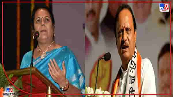 Video : परब शिवसेनेचे, तुम्ही शिवसेनेच्या... आता तुमचं तुम्ही बघून घ्या, अजितदादांनी घेतली निलम गोऱ्हेंची फिरकी