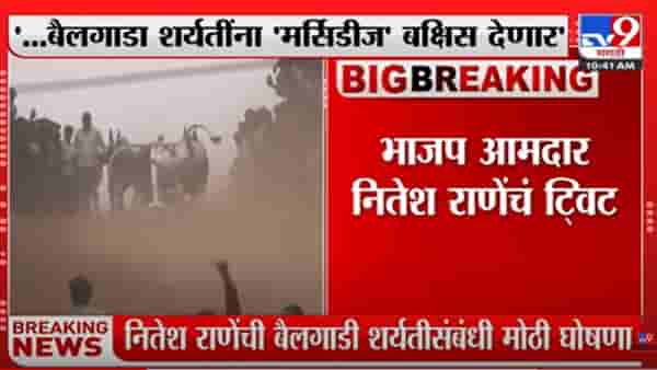 Nitesh Rane : …तर माझ्याकडून मर्सिडिज गाडी बक्षीस देणार, नितेश राणेंची मोठी घोषणा, पण घातली एक अट!