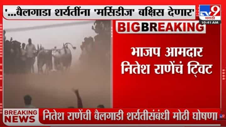 Nitesh Rane : ...तर माझ्याकडून मर्सिडिज गाडी बक्षीस देणार, नितेश राणेंची मोठी घोषणा, पण घातली एक अट! Nitesh Rane : ...तर माझ्याकडून मर्सिडिज गाडी बक्षीस देणार, नितेश राणेंची मोठी घोषणा, पण घातली एक अट!