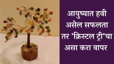 Crystal Tree Benefits: आयुष्यात हवी असेल सफलता तर क्रिस्टल ट्रीचा असा करा वापर